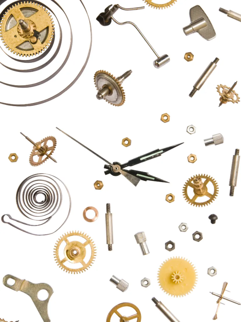 Watch Components